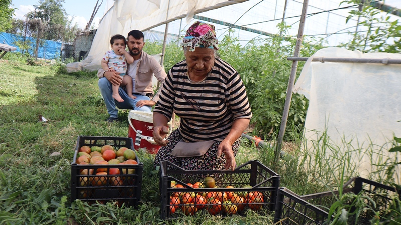 Serasıyla 3 aileyi geçindiriyor