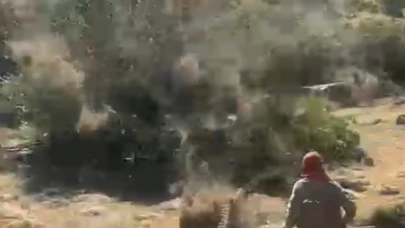 Tarlada çıkan hortum otları uçurdu