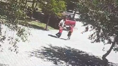 Ahlat'ta başıboş köpeklerin saldırısına uğrayan çocuk son anda kurtarıldı