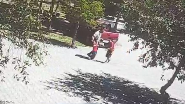 Ahlat'ta başıboş köpeklerin saldırısına uğrayan çocuk son anda kurtarıldı