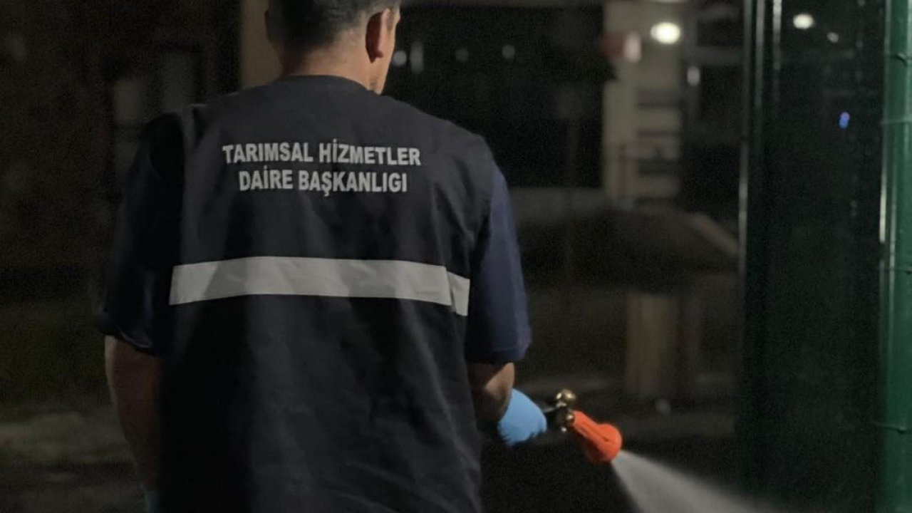 Büyükşehir’den haşerelere karşı ilaçlama atağı