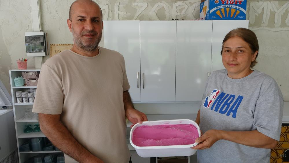 Mor Reyhanlı dondurma vatandaşın beğenisine sunuldu