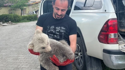 Bitkin halde bulunan ayı yavrusu korumaya alındı