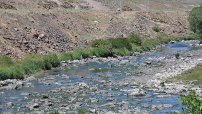 Balıklar dere yatağında yaşam mücadelesi veriyor