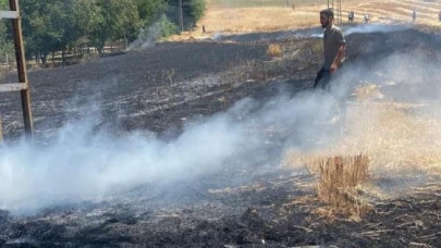 Elazığ’da yangın: Ekili alan küle döndü