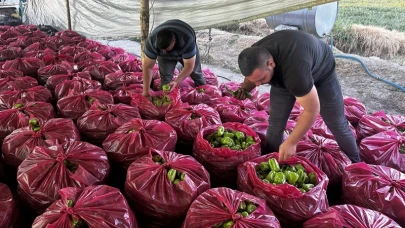 Tonlarca sebze ve meyve üretimi hedefliyor