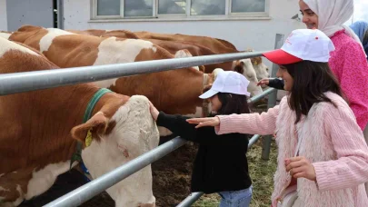 Modern tesislerden tandıra, nesiller buluştu