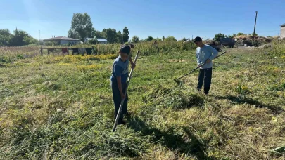 Akyaka’da ot biçim mesaisi başladı
