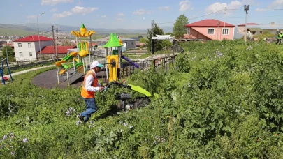 Ardahan'da park ve bahçelerde bakım çalışması başladı