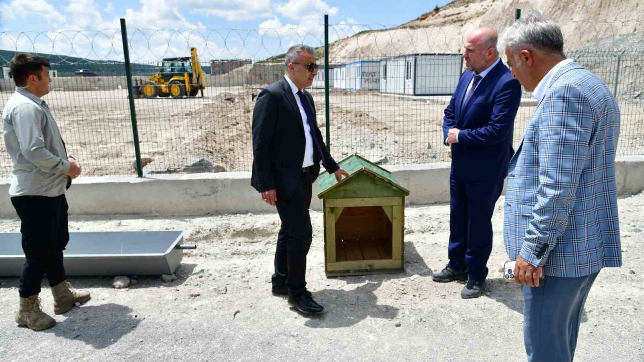 Ardahan’da sahipsiz hayvanlara yuva