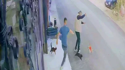 Erzurum'da bir kişi çılgın kedilerin saldırısına uğradı