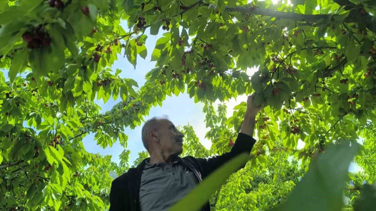 Doğayla iç içe lezzetli bir deneyim