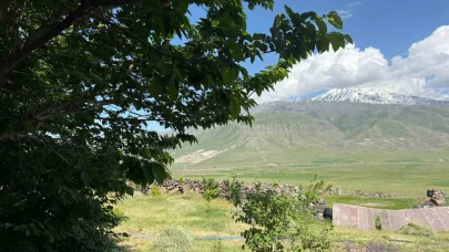 Iğdır’da çorak arazi yeşile büründü