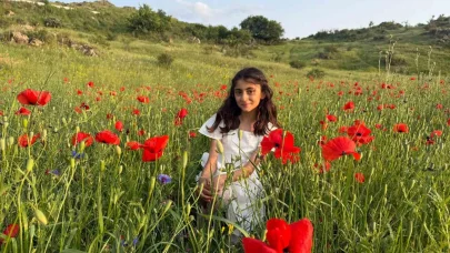 Iğdır’da gelincik tarlaları görsel şölen sunuyor