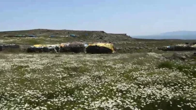 Kars’ta köylüler yaylaları imece usulü hazırlıyor