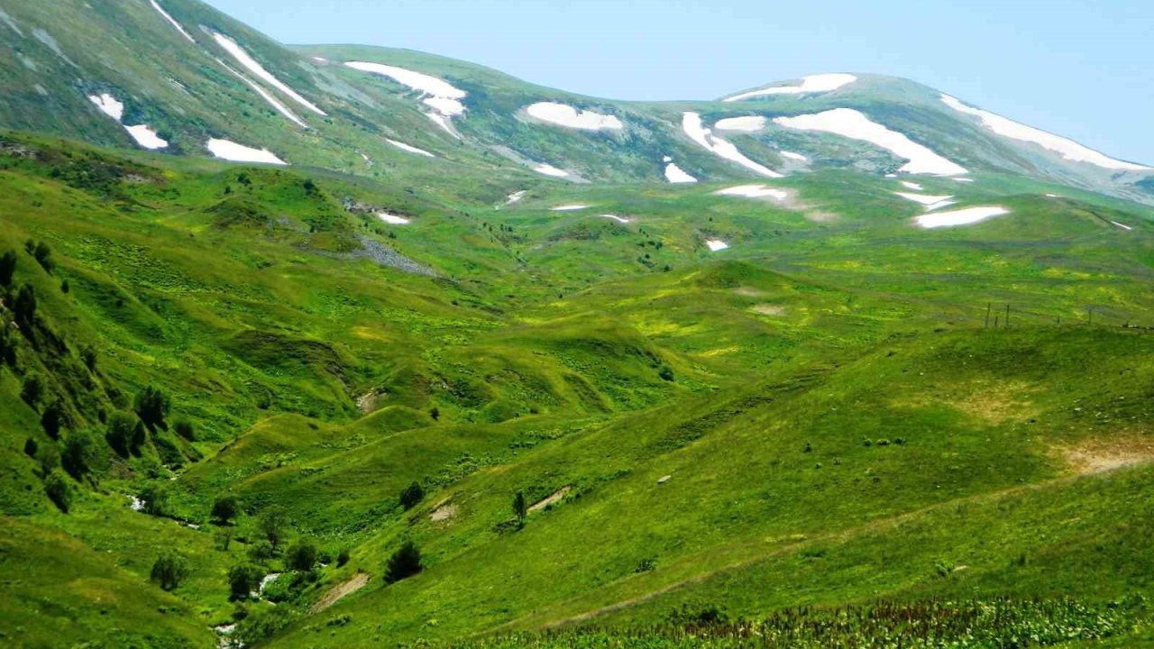 Posof’ta yayla mevsimi başladı