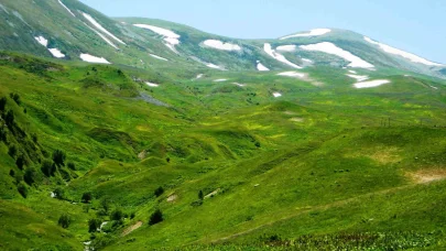 Posof’ta yayla mevsimi başladı