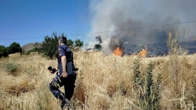 Ağaçlık alanda yangın çıktı