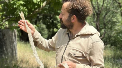 Gezinti sırasında yılan derisi buldu