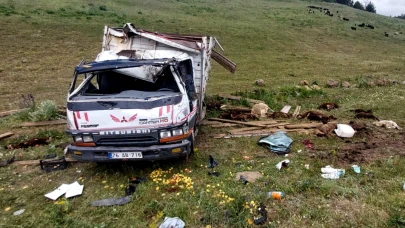 Sarıkamış'ta kamyonet devrildi 17 küçükbaş hayvan telef oldu