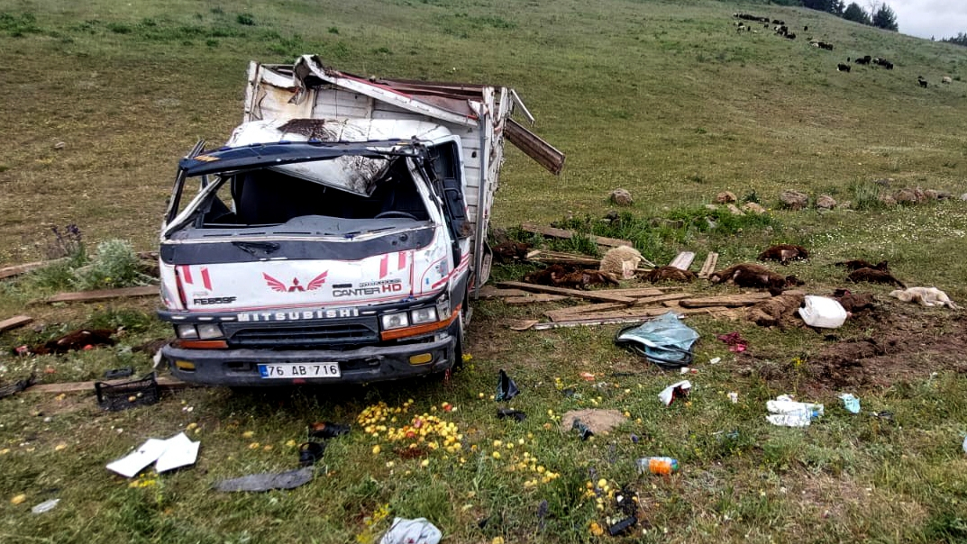 Sarıkamış'ta kamyonet devrildi, 17 küçükbaş hayvan telef oldu