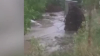Kağızman'da sel meyve bahçelerine zarar verdi