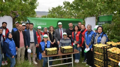 Gönüllü gençler Kağızman’da kayısı hasadına katıldı