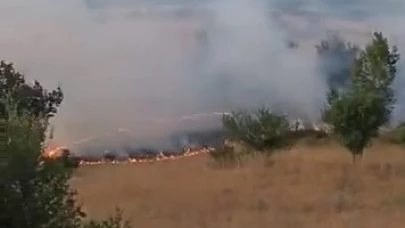 Otluk alanda çıkan yangın söndürüldü