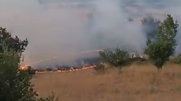 Otluk alanda çıkan yangın söndürüldü