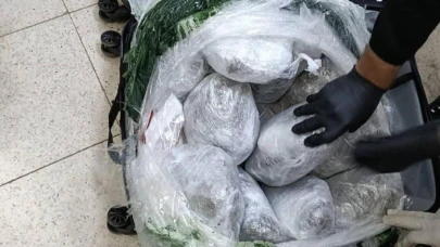 Valize saklanmış 49 kilo esrar ele geçirildi
