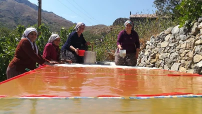 Kadınlar imece usulü ile pestil yapıyor