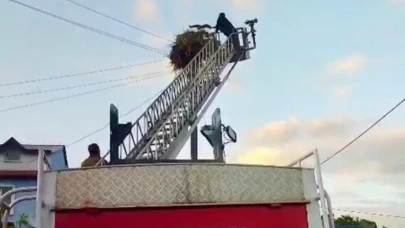Yuvadan düşen yavru leylek kurtarıldı