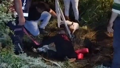 Foseptik çukuruna düşen büyükbaş hayvan kurtarıldı