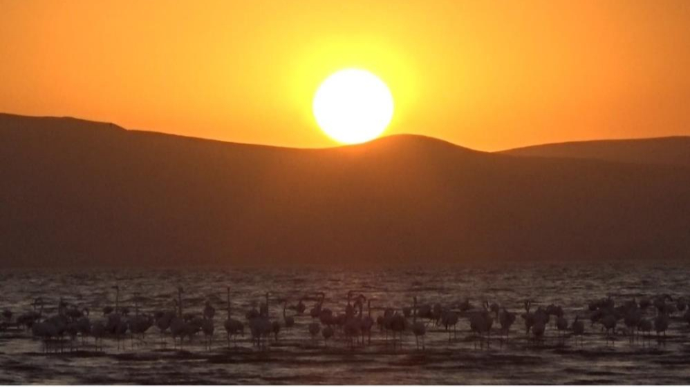 Erçek Gölü'nde gün batımı görsel şölen sundu