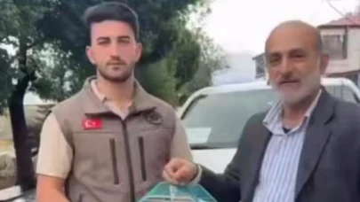 Vatandaşlar ve askerlerin bulduğu 3 kerkenez yavrusu doğaya salındı