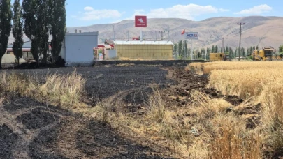 23 dönümlük buğday tarlası kül oldu