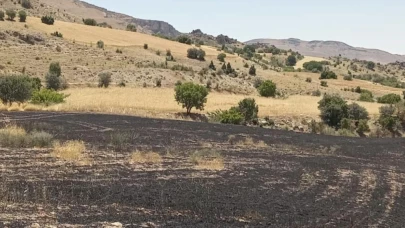 Tunceli’de 34 dönüm arpa yangında kül oldu