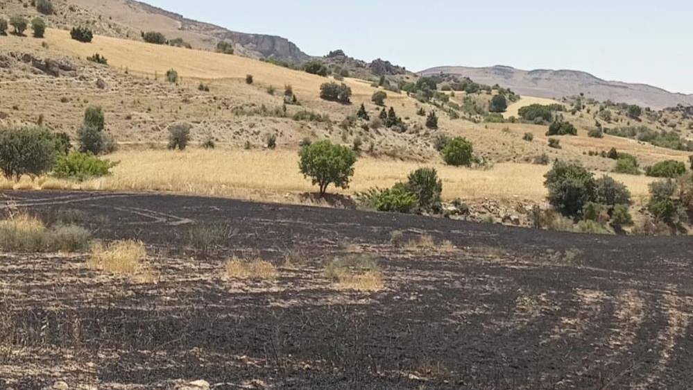 Tunceli’de 34 dönüm arpa yangında kül oldu