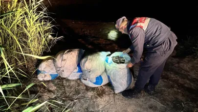 Kaçak avlanan 78 ton inci kefaline el konuldu
