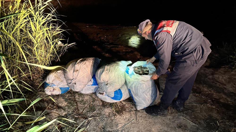 Kaçak avlanan 78 ton inci kefaline el konuldu