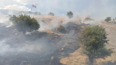 Anız ve ot yangınına müdahale edildi