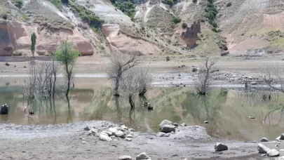 Tarihi köy yeniden ortaya çıktı