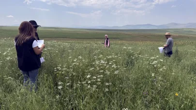 Sahada tarımsal ürün tespiti yapılıyor