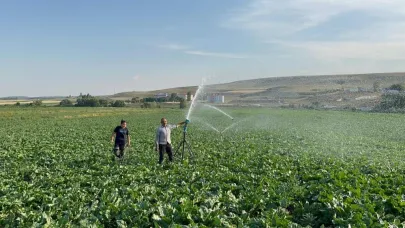Babasıyla birlikte pancar tarlasında mesai harcıyor