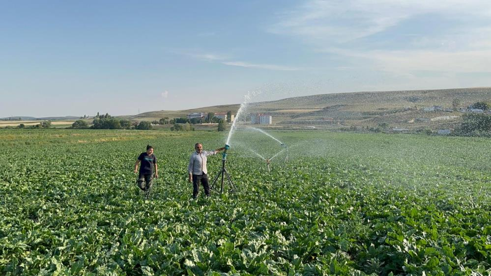 Babasıyla birlikte pancar tarlasında mesai harcıyor