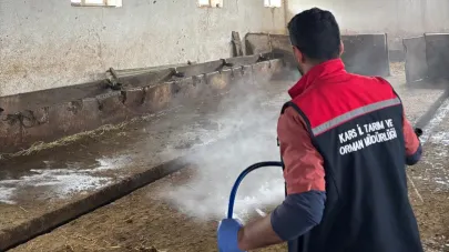 Susuz’da aşılama ve dezenfekte çalışmaları sürüyor