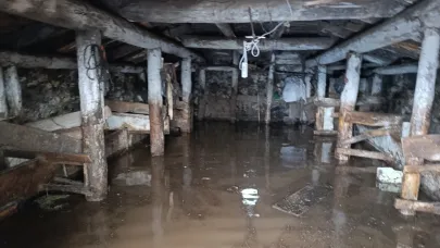 Göle'de sağanak ve dolu etkili oldu
