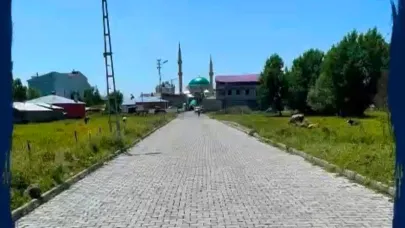Selim’de kaldırımlar yenileniyor