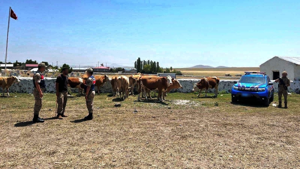 Jandarma, kayıp hayvanları sahiplerine teslim etti