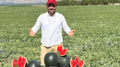 Kavun ve karpuz hasadı yüzleri güldürüyor
